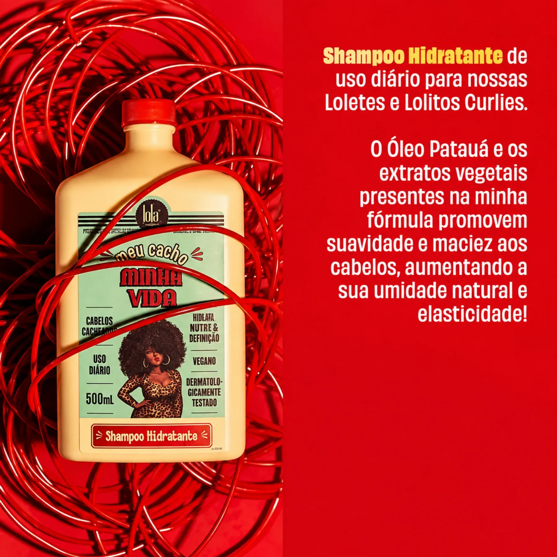 SH MEU CACHO -2-
